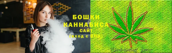 mdpv Белокуриха