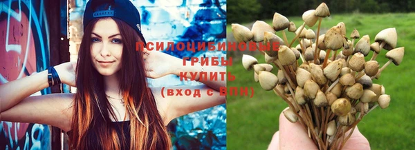 mdpv Белокуриха