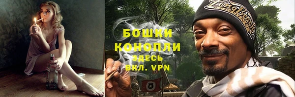 mdpv Белокуриха
