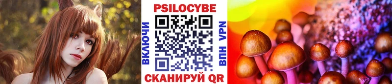 купить наркотики сайты  Ворсма  ОМГ ОМГ маркетплейс  Псилоцибиновые грибы GOLDEN TEACHER 